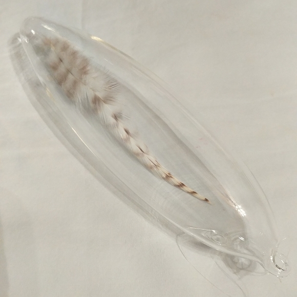 Roost feather in glass - Picture 2 of 4